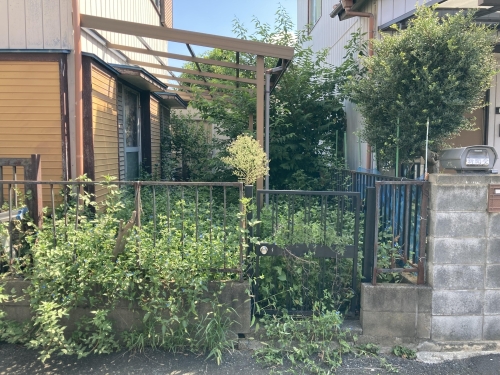 家の草木の伐採