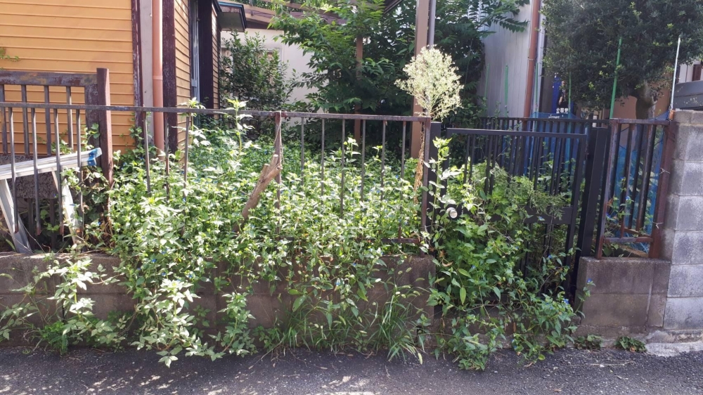 家の草木の伐採 画像3