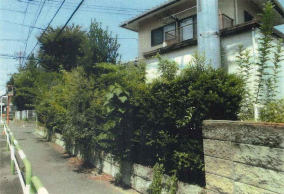 庭木の剪定伐採 画像3