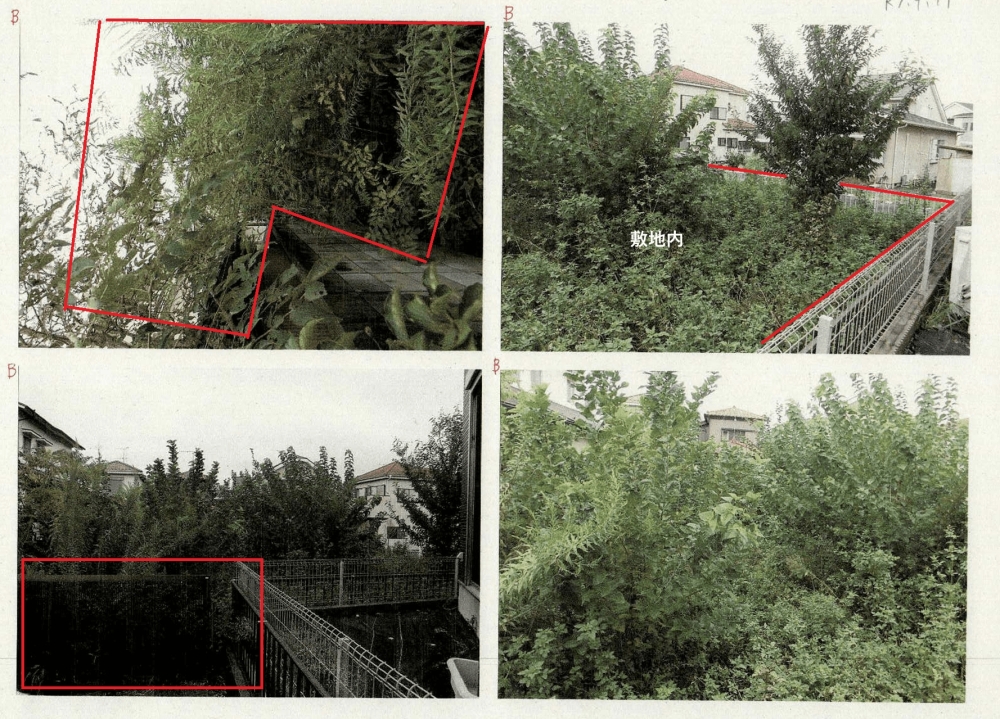 畑の草木の伐採 画像2