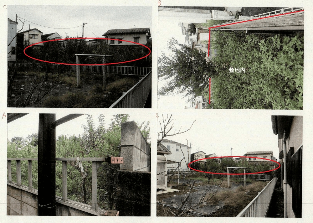 畑の草木の伐採 画像3