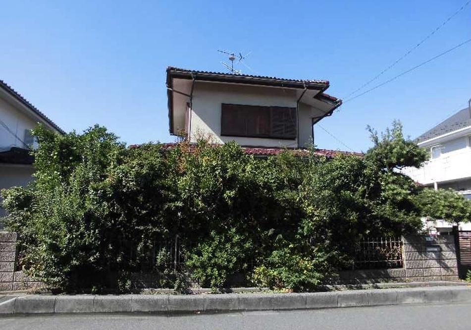 庭木の伐採 画像1