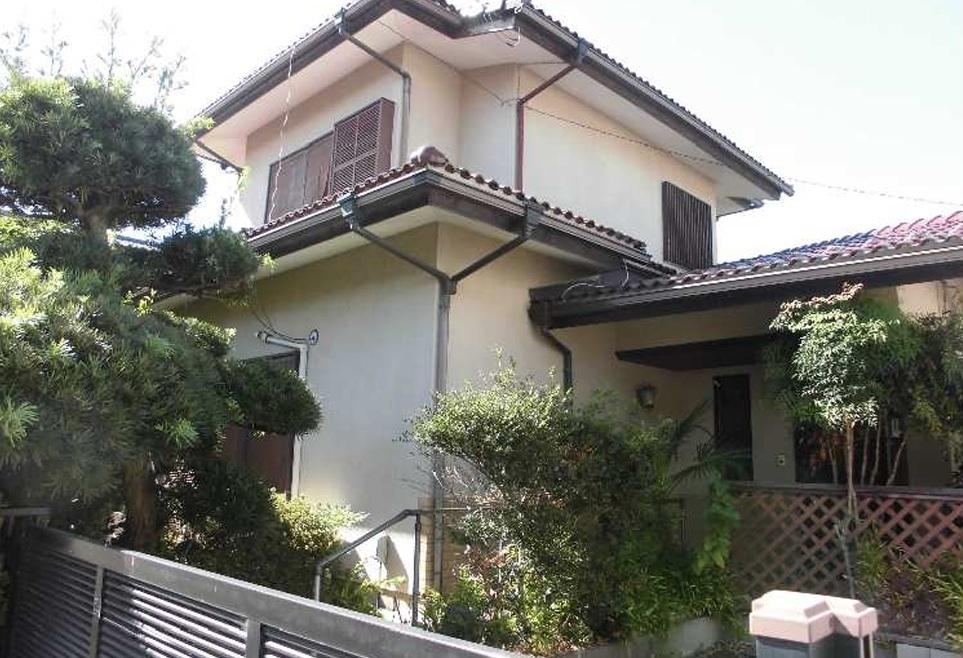 庭木の伐採 画像2