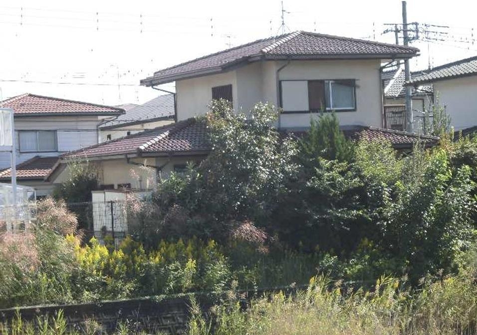 庭木の伐採 画像3