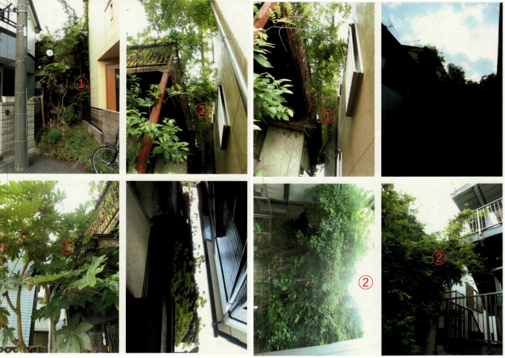 草木の伐採 画像1