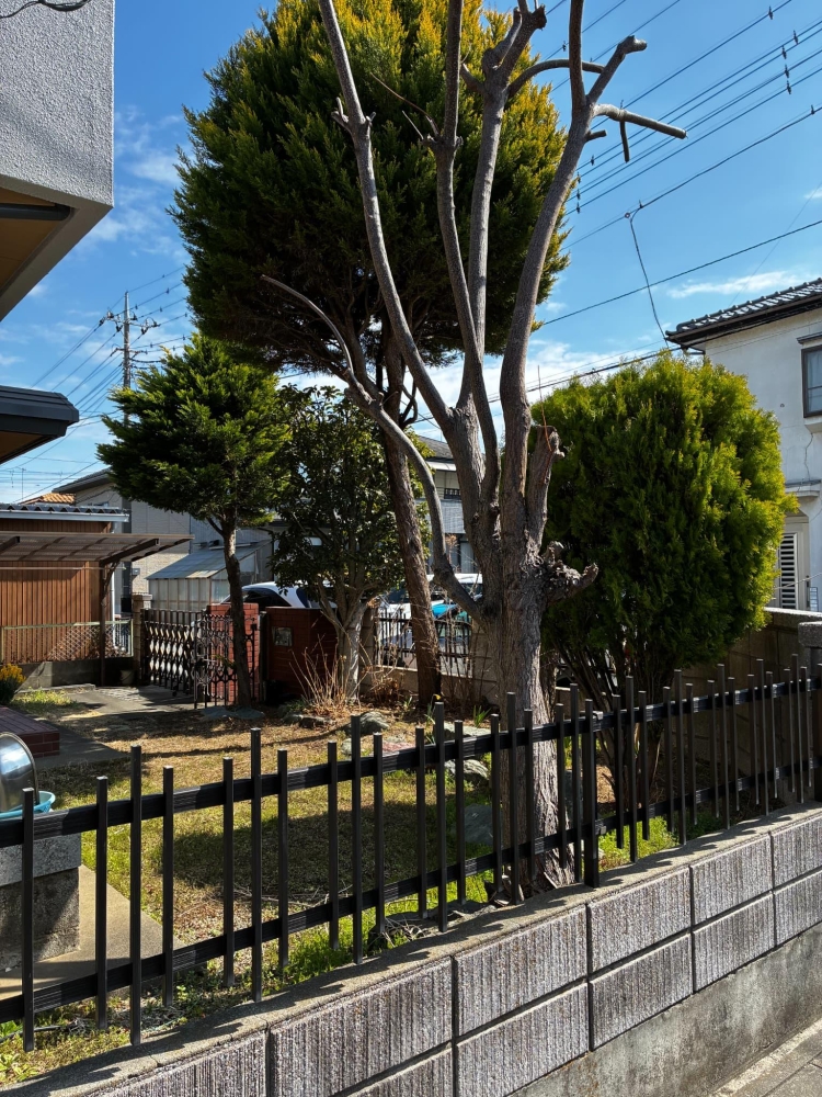 庭を駐車場に変更したい 画像3